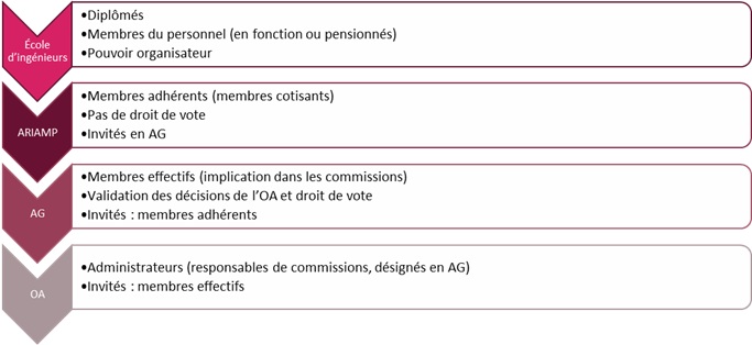ARIAMP - Organisation